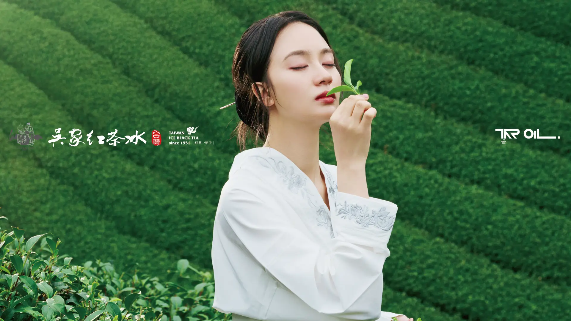 吳家紅茶冰：雲霧高山青茶形象 專案主視覺